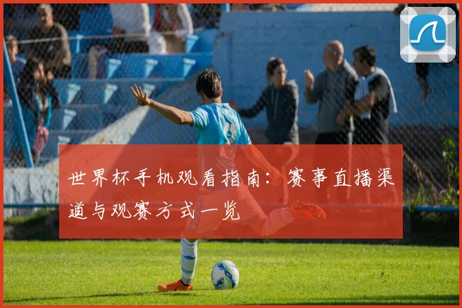 世界杯手机观看指南：赛事直播渠道与观赛方式一览