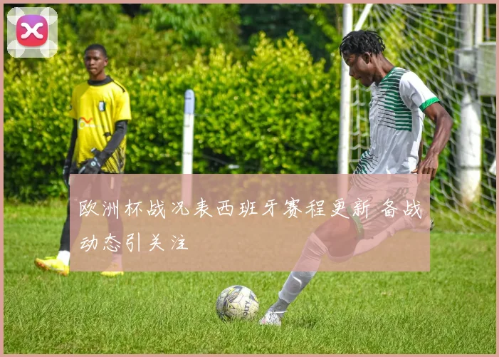 欧洲杯战况表西班牙赛程更新 备战动态引关注